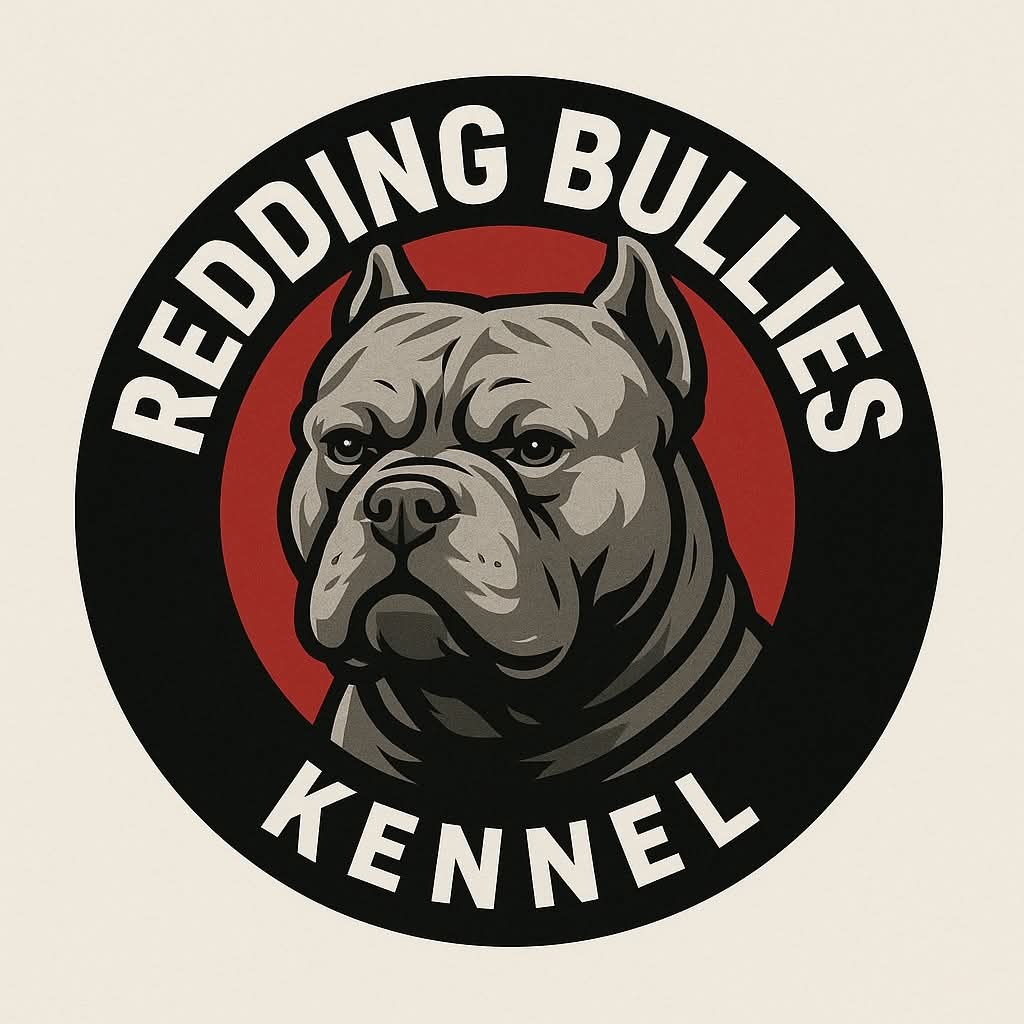Our Kennel
